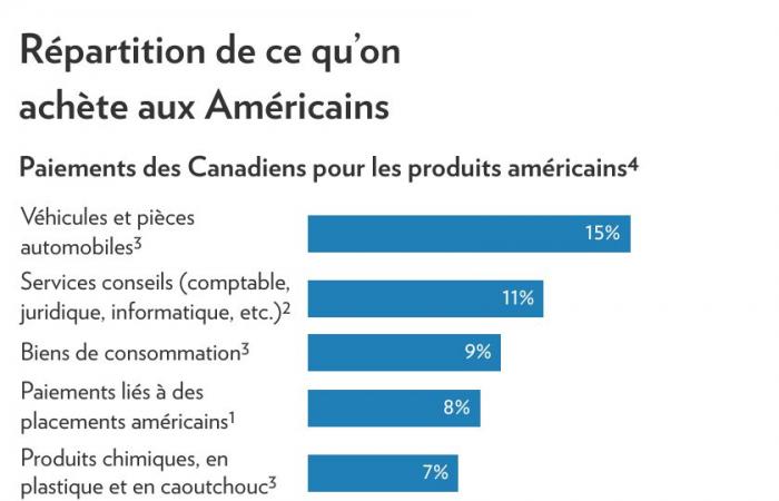 Réponse aux tarifs douaniers de Trump | Énergie et snowbirds