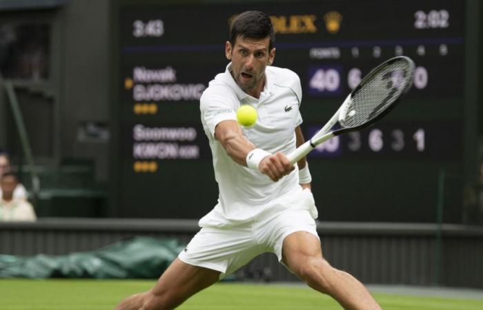 Novak Djokovic vs Tomáš Macháč : aperçu du match et pronostics