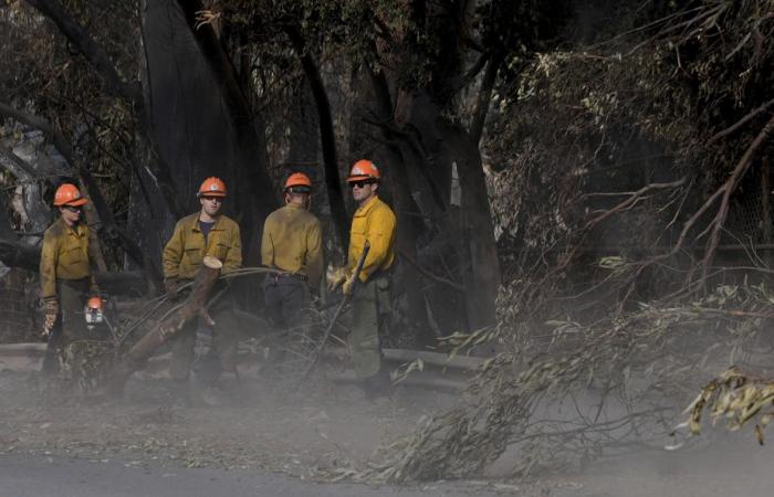 Los Angeles | Dix jours après le début des incendies, la recherche des victimes continue