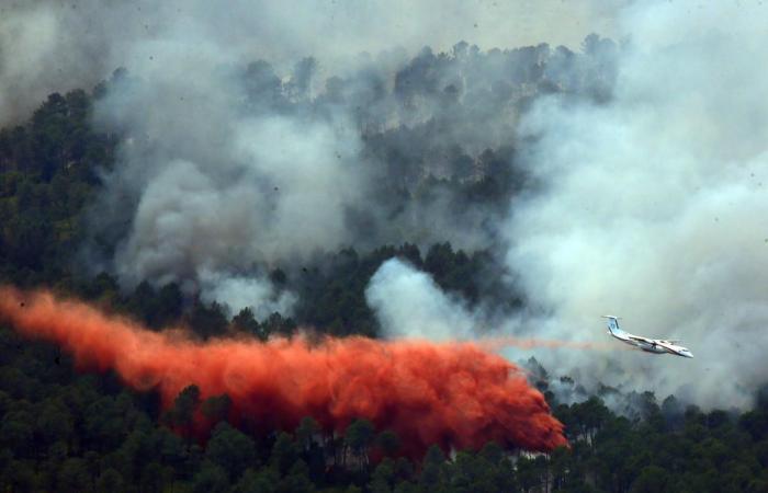 « Personne ne peut arrêter un incendie avec des vents de 160 km/h »