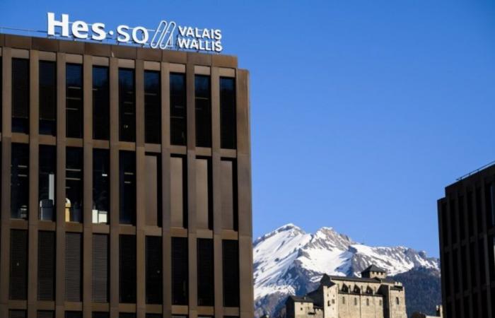 1/4 des étudiants et collaborateurs de la HES-SO Valais-Wallis ont été victimes de propos sexistes