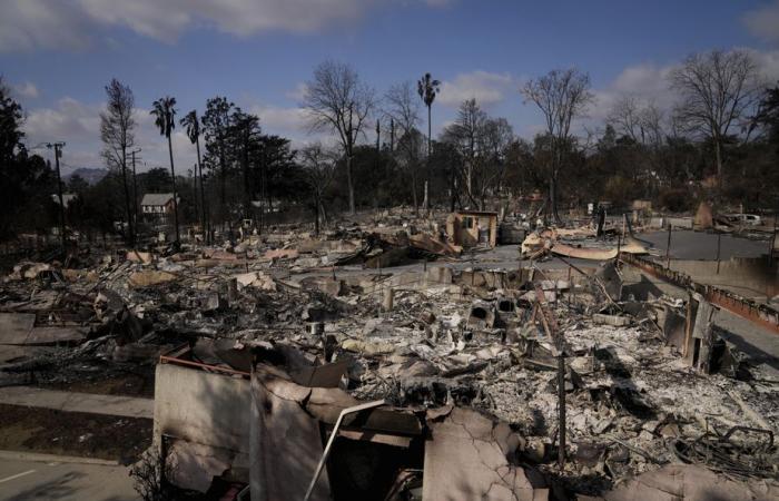 Los Angeles | Dix jours après le début des incendies, la recherche des victimes continue