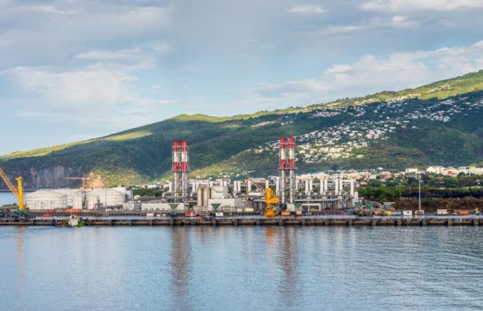 La Réunion et la fausse bonne idée de la bioénergie pour sa transition….