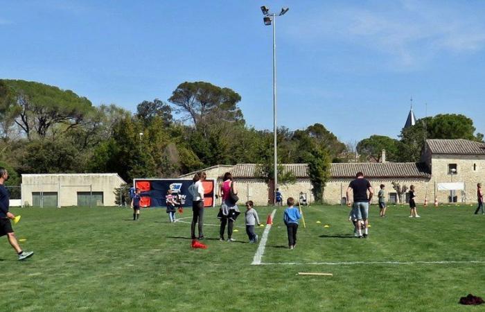 Plusieurs cycles d’initiation au rugby par Hérault sport