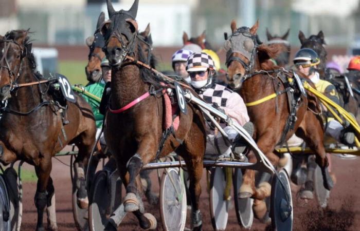 Loire et Haute-Loire. Hippodrome, raquettes, cinéma… Nos idées de sorties pour ce week-end