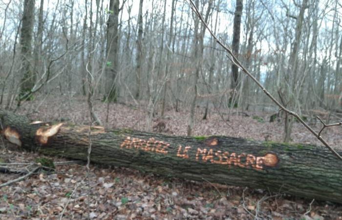 « Ce qui se passe ne semble pas se faire selon les règles »