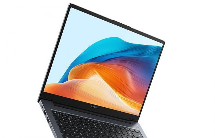 Huawei MateBook D 14 2024, Ultrabook 14″ 16/10 Argent nomade 8 heures facile à transporter sous hautes performances Intel Core i5-13420H – LaptopSpirit