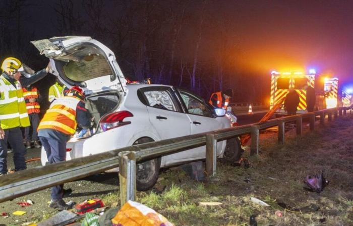 impliqué dans un accident, le conducteur abandonne son camion et s’enfuit à travers la forêt