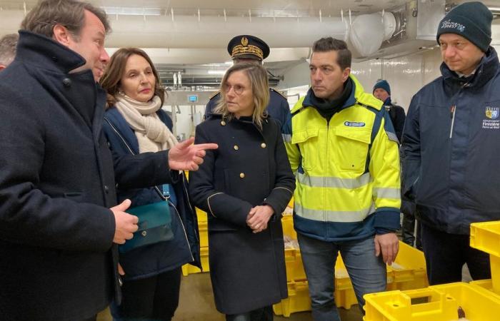 Fermeture du golfe de Gascogne, crise du Brexit, baisse du tonnage. Agnès Pannier-Runacher tente de rassurer les pêcheurs du Finistère