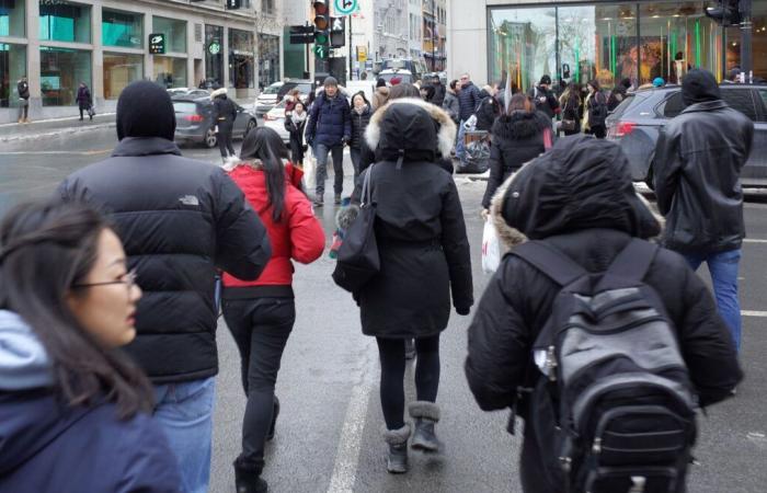 Croissance démographique record au Québec grâce à l’immigration, notamment à Montréal, selon les données de l’ISQ