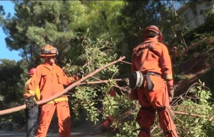 les détenus en première ligne pour aider les pompiers