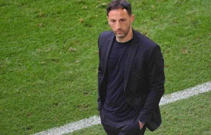 Football. La Belgique licencie Domenico Tedesco de son poste d’entraîneur. Sport