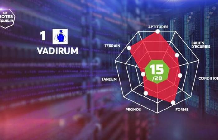 Les Notes des partants du Quinté+ de ce vendredi 17 janvier