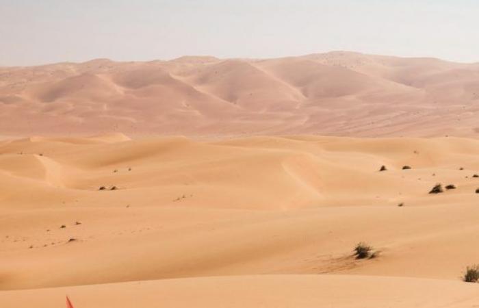 VICTOIRE FINALE DU SAOUDIEN AL RAJHI À DAKAR 2025 DEVANT LATEGAN, EKSTRÖM ET AL ATTIYAH