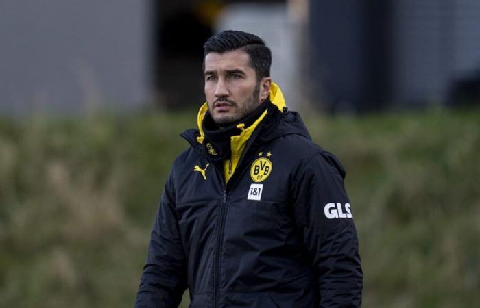 Nuri Sahin se bat pour la libération : l’entraîneur du BVB à Francfort compte sur ce onze