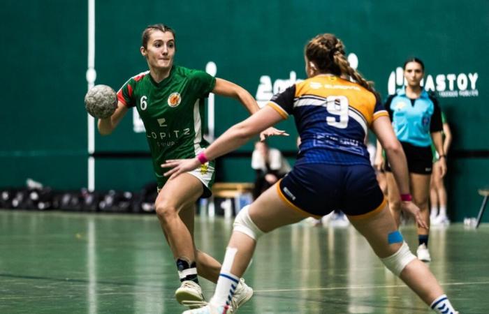 Handball/N2F. Duel à distance entre le leader Bordes et son dauphin Tardets