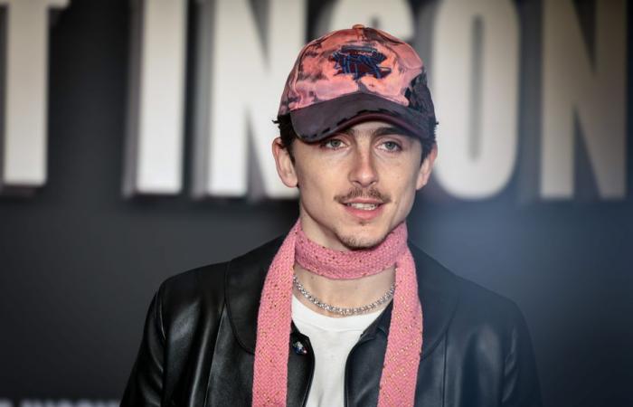 quand Thimothée Chalamet rêve de sa rencontre avec Bob Dylan