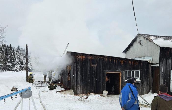 Bâtiment agricole partiellement endommagé par un incendie à Sainte-Justine