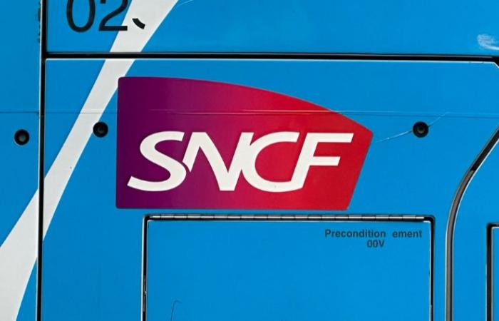 choc sur un TGV, trafic interrompu entre Lyon et Saint-André-le-Gaz