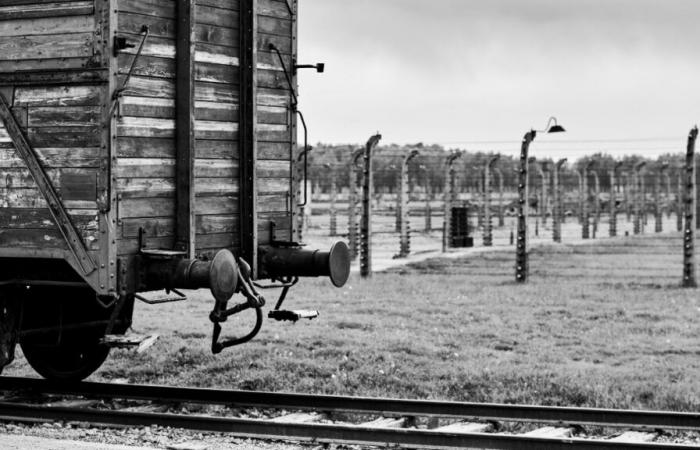 Déportations de 25.000 Juifs et Tsiganes vers les camps de la mort : la SNCB appelée à « présenter ses excuses »