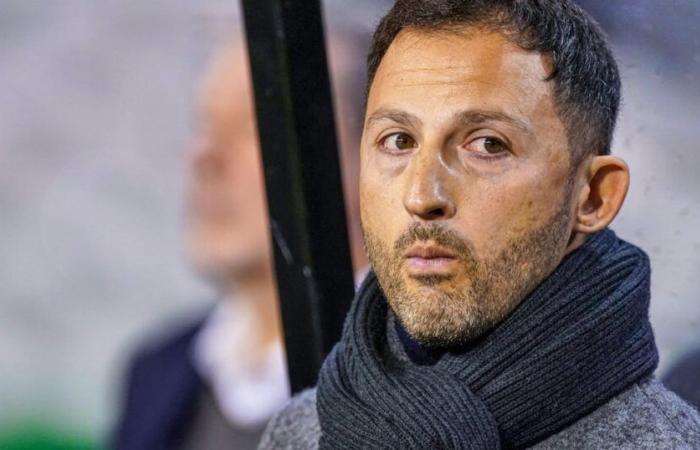 La Belgique limoge son entraîneur Domenico Tedesco