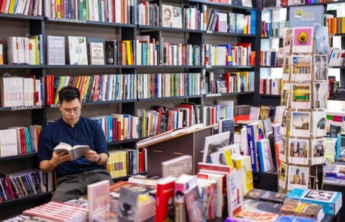 BAISSE DES VENTES DE LIVRES EN 2024