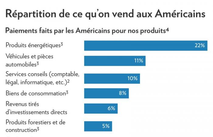 Réponse aux tarifs douaniers de Trump | Énergie et snowbirds