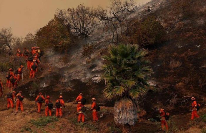 Incendies à Los Angeles : des détenus renforcent les pompiers