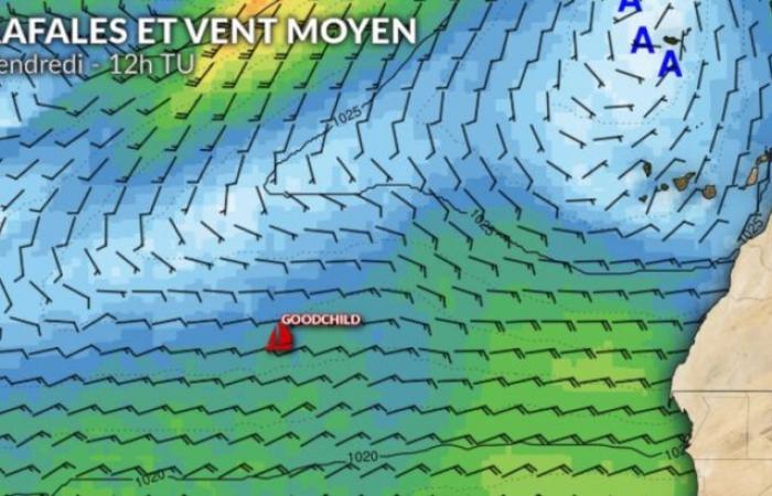 Météo du Vendée Globe : beaucoup d’incertitude pour les poursuivants