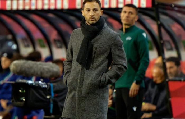 Football. Loin des attentes, le sélectionneur belge Domenico Tedesco limogé