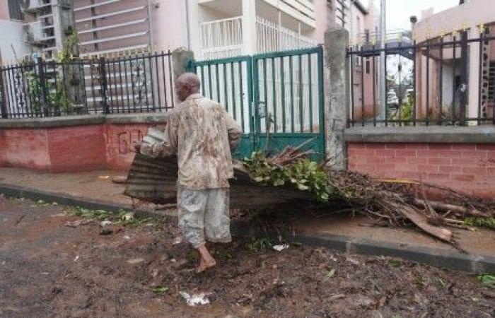 A Mayotte dévastée par le cyclone, « les agriculteurs ont tout perdu »