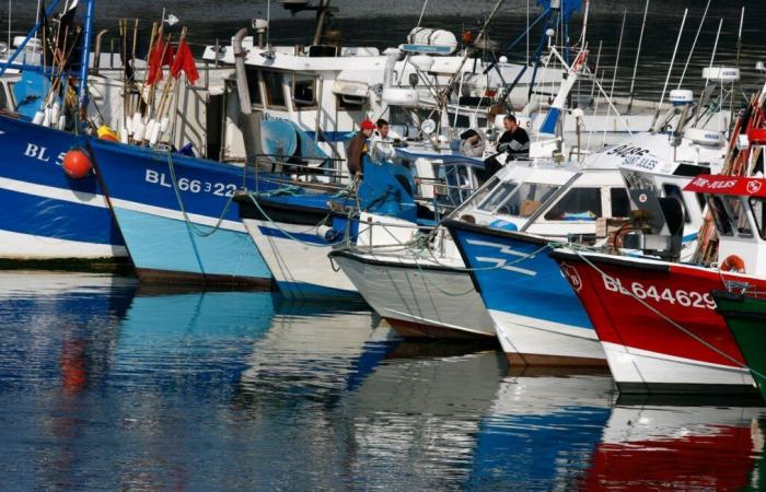 Un chalutier britannique attaque un bateau de pêche français en mer du Nord