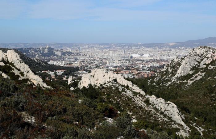 Mort suspecte d’un homme dont le corps a été retrouvé par un chauffeur de bus aux portes des calanques à Marseille