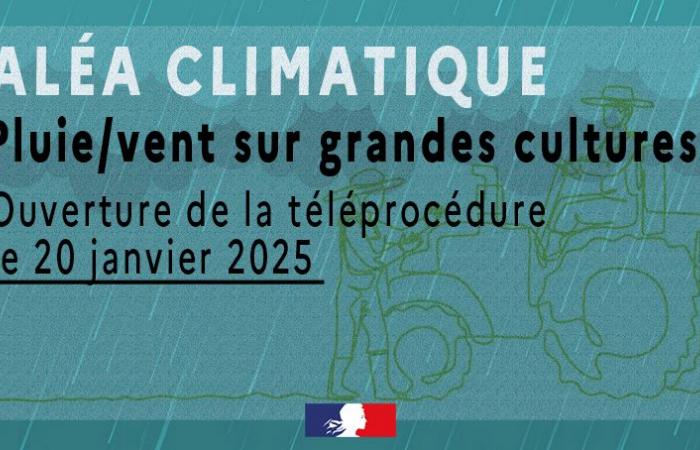 dépôt de demande d’indemnisation pour aléa climatique 2024 – Aides économiques et catastrophes agricoles – Agriculture, foresterie et développement rural – Actions de l’État