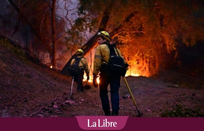 Construire une bioéconomie circulaire pour répondre à la menace croissante des incendies de forêt