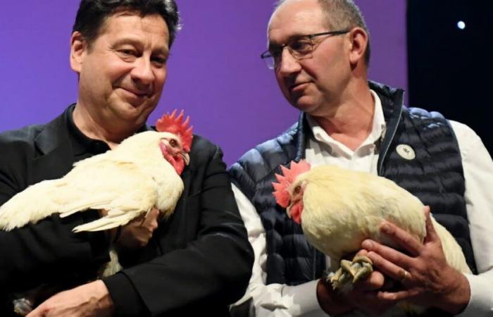 Aïn. Le Bressan Laurent Gerra parmi les lauréats de la Légion d’honneur