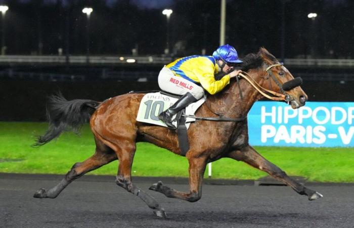 Dimanche à Vincennes – Prix de Cornulier : Le rallye des gazelles