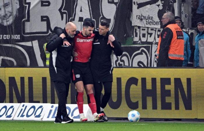 Le terrier du Bayer probablement grièvement blessé