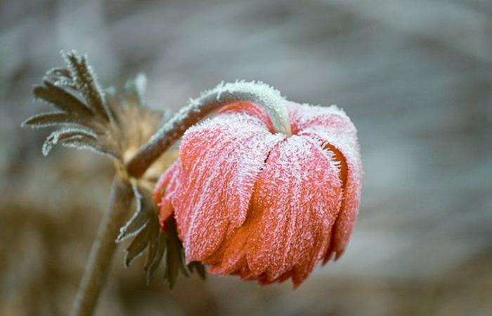 il faisait encore -9,3°C en Aveyron samedi matin, voici les zones où les températures étaient les plus glaciales