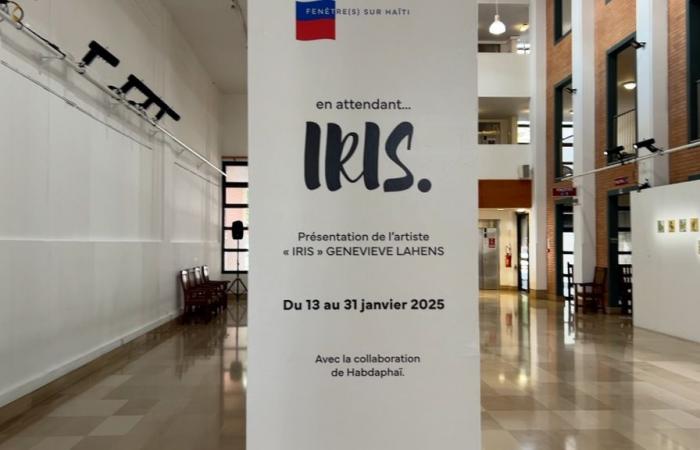 an exhibition as part of “Fenêtre sur Haïti”