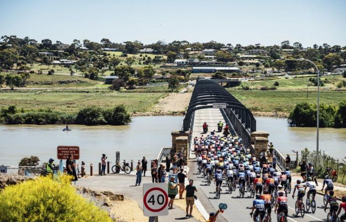 Aperçu du Santos Tour Down Under – Velo-Club.net