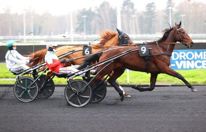 Maisons-Laffitte Prize: Thousand Stars, with ease