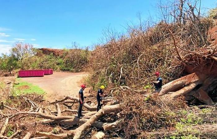 en mission à Mayotte pendant dix jours, ces sauveteurs de Pica racontent l’histoire d’une île dévastée