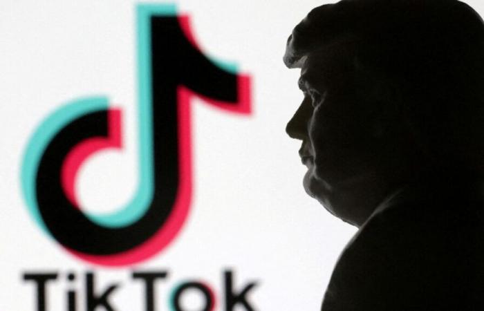 TikTok interdit aux Etats-Unis ? Donald Trump accordera « très probablement » un sursis de 90 jours à sa demande