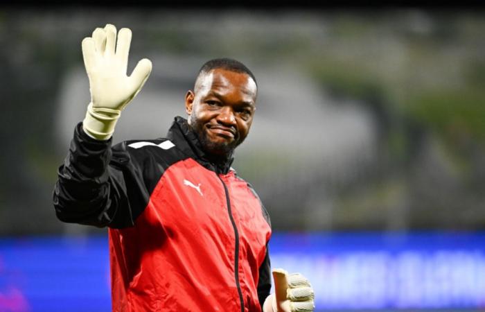 Steve Mandanda a décidé de son avenir