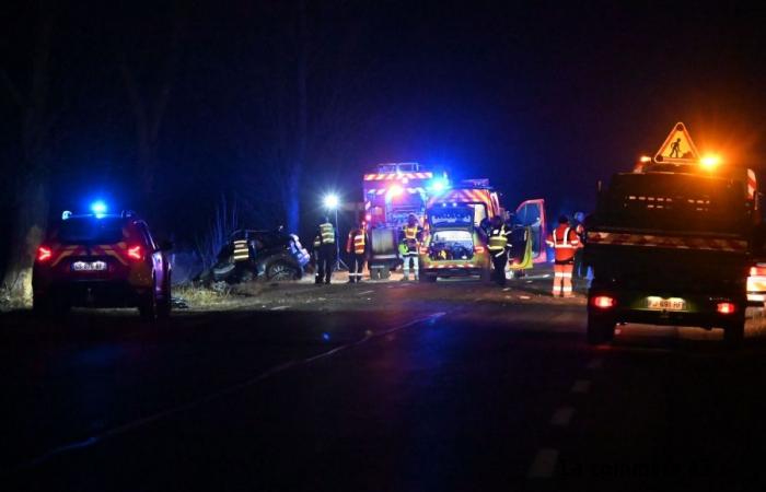 Une voiture percute un arbre : un mort à Bas-en-Basset