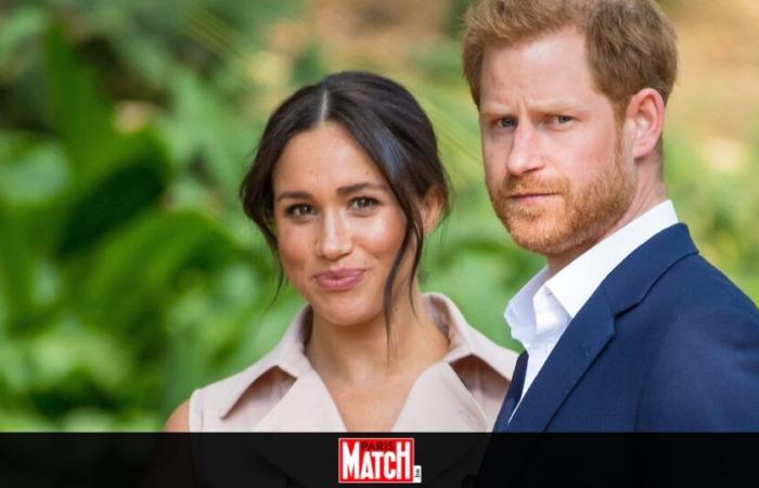 De nouvelles célébrités attaquent Meghan Markle suite aux incendies de Los Angeles : « Rentrez chez vous ! »