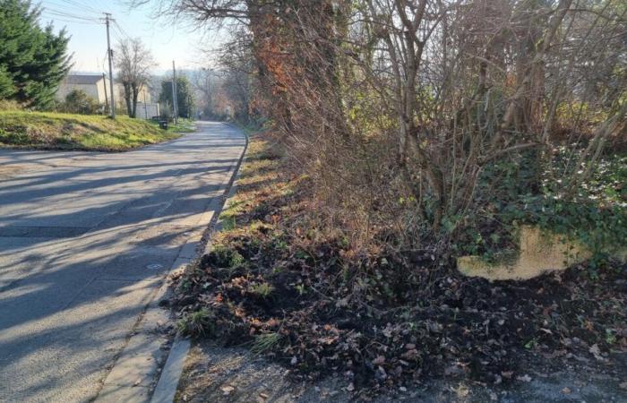 Près de Toulouse. Les sangliers font des ravages en chassant autour des maisons