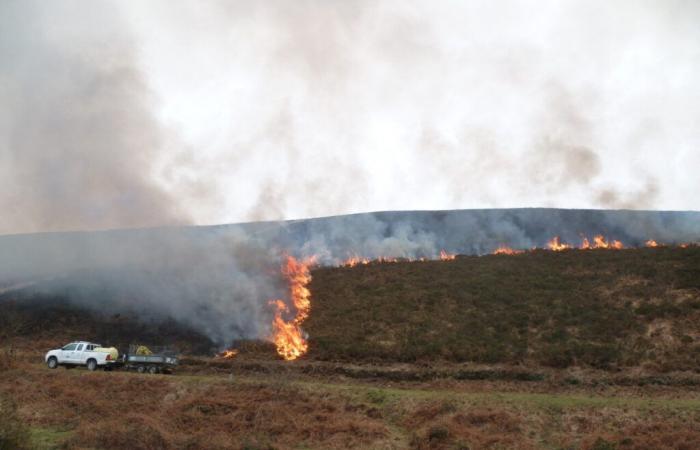 Des plants seront brûlés ce dimanche dans les landes de Vauville