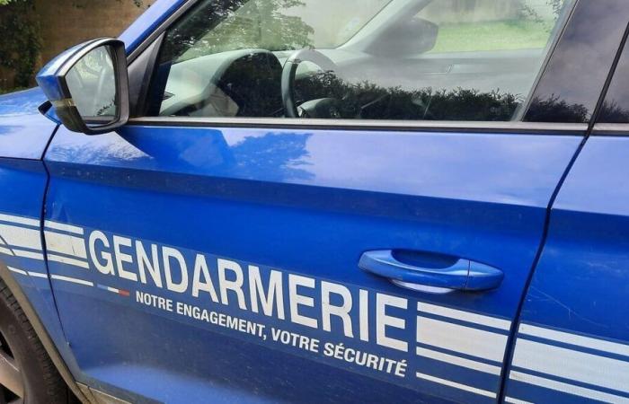 Un piéton décède heurté par un poids lourd à Estigarde dans les Landes